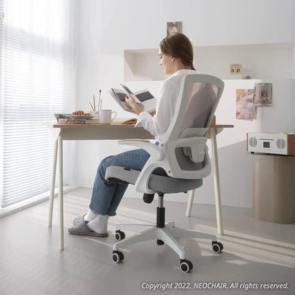 Ergonomical Chair